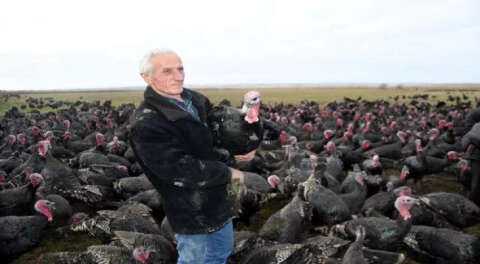 Yılbaşı hindisinin kilosu 100 lira