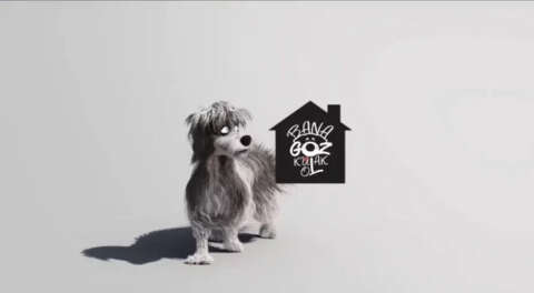 Koton, 4 Nisan Dünya Sokak Hayvanları Günü’nde de patili dostlarımıza Göz Kulak Oldu!