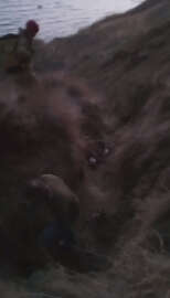 Silivri'de falezlerden düşen kadın yaralandı