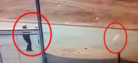 Sokak köpeğini tüfekle öldüren şüpheli gözaltına alındı