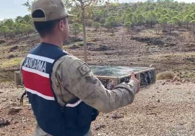 4 bin saka kuşuyla yakalanan Suriye uyruklu şüpheliye 5 milyon 600 bin lira ceza