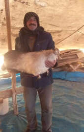 Diyarbakır'da çobana yıldırım isabet etti; ağır yaralı