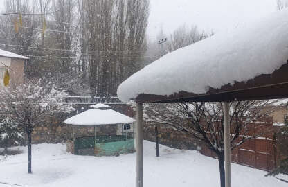 Van ve Hakkari'de kar yağışı (3)