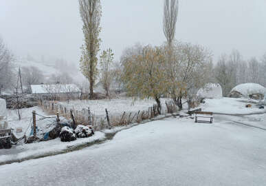 Van ve Hakkari'de kar yağışı