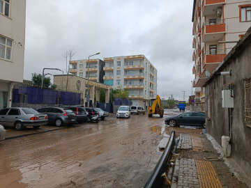 Diyarbakır&#39;daki sağanak; köprü yıkıldı, 200 hindi öldü, arı kovanları zarar gördü