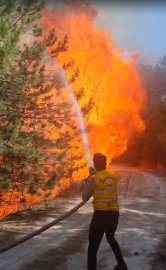 Aydın'da orman yangını
