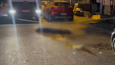 İstanbul- Kadıköy'de çöp kamyonunun ezdiği emekli öğretmen hayatını kaybetti