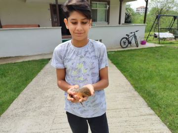 Mezarlıkta bulduğu yavru sincabı biberonla besliyor