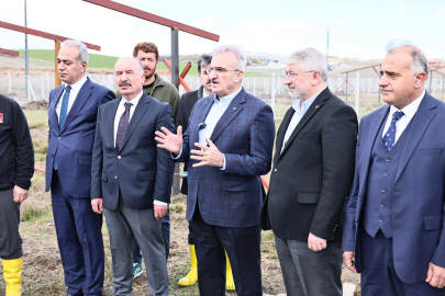 İçişleri Bakan Yardımcısı Karaloğlu: Ülkemizde şu anda çok ciddi bir sahipsiz hayvan problemi var