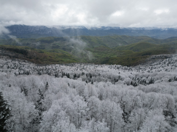 Bartın’da iki mevsim bir arada