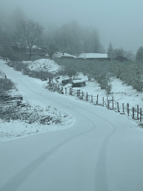 Sakarya’nın yükseklerine kar yağdı, valilik don uyarısı yaptı