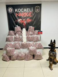 Kocaeli’de 397 bin sentetik ecza hap ele geçirildi; 1 kişi tutuklandı