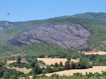 Bursa'da orman yangını (2)