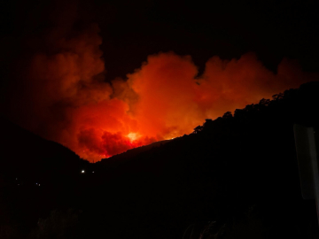 İzmir Ödemiş'te orman yangını