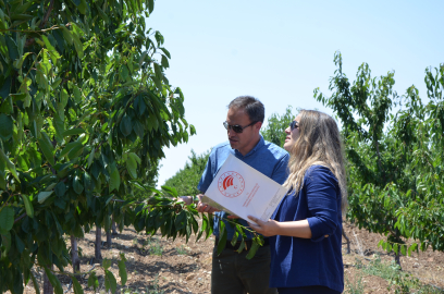 Eskişehir’de zirai dondan etkilenen 606 çiftçiye, 55 milyon lira yardım