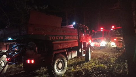 Çankırı'da orman yangını/ Ek fotoğraflar