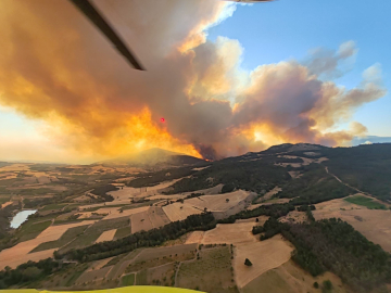 Sakarya'da orman yangını; alevler rüzgarın etkisiyle yayılıyor (5)