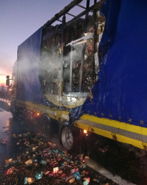 Kuruyemiş yüklü TIR'ın dorsesi yandı