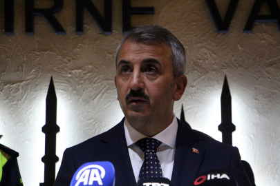 Edirne'de, çeltik saplarından yakıt üretilecek