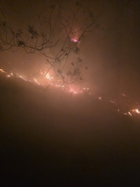 Hatay’da yıldırım düşmesi sonucu orman yangını çıktı