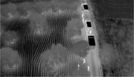 Hatay’da zeytin bahçesinde 625 bin adet uyuşturucu ecza hap ele geçirildi