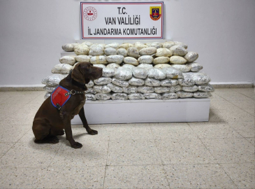 Van'da arazide 60 kilo skunk ele geçirildi