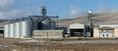 TMO'yu 500 milyon TL dolandıran depo sahibi, yurt dışına kaçtı; 9 çalışan gözaltında