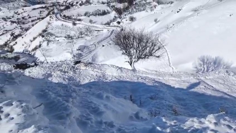 Batman'da ahıra çığ düştü: 44 küçükbaş öldü