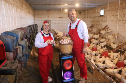 Türk sanat müziği dinlettiği tavuklardan yüzde 6 verim artışı sağladı / Ek fotoğraflar