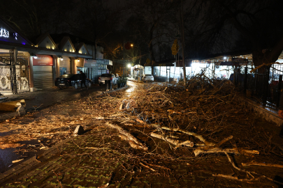 İzmir'de şiddetli rüzgar: Otomobilin üzerine ağaç devrildi