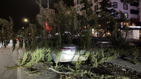 Kayseri'de kuvvetli fırtınada otomobilin üzerine ağaç devrildi