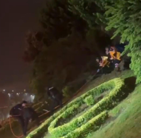 İstanbul - Zeytinburnu'nda devrilen ağacın altında kalan kişi hastaneye kaldırıldı