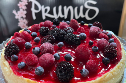 Datça’da Bir Durağın Hikâyesi: Prunus Cafe