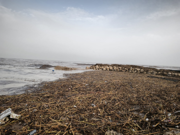Mersin'de sağanak; dereler taştı, yolları su bastı (3)