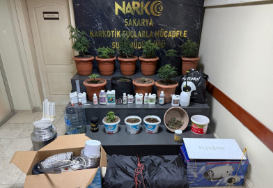 Kurdukları serada Hint keneviri yetiştiren 2 şüpheli gözaltına alındı