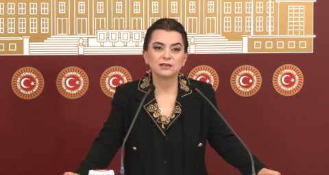 DEM Parti'li Koçyiğit: Barış yasaları ivedilikle çıkmalı