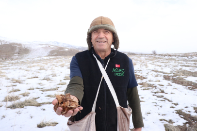 'Ağaç Dede'ye ilkokul öğrencilerinden alkışlı karşılama/Ek fotoğraflar