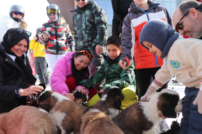 'Pastırma' ve 'Sucuk' isimli köpekler, Erciyes'in maskotu oldu