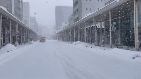 Japonya'da yoğun kar yağışı nedeniyle hayatını kaybedenlerin sayısı 45'e yükseldi