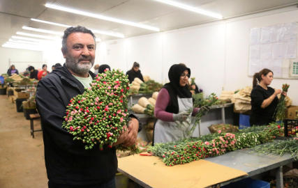 Antalya'dan 'Sevgililer Günü' için Avrupa'ya 75 milyon dal çiçek