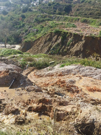 Antalya'da kuvvetli yağış 7 ilçede hasara neden oldu, mahsur kalan hayvanlar kurtarıldı (6)