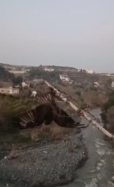 Tellere takılan şahin kurtarıldı