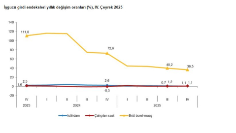 TÜİK: İstihdam endeksi 4'üncü çeyrekte yüzde 1,1 arttı