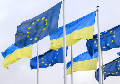 AB: Ukrayna'nın üyeliğine ilişkin tarih vermek mümkün değil