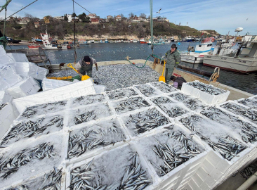 Kırklarelili balıkçılar, Karadeniz'de 6 saatte 30 ton hamsi avladı