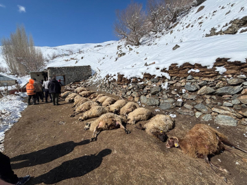 Ahırda çıkan yangında 67 küçükbaş ile 1 inek öldü