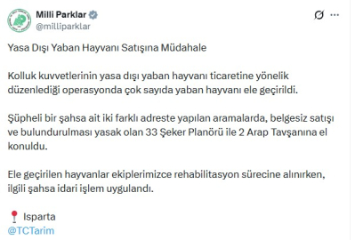 Isparta'da 33 şeker planörü ve 2 Arap tavşanı ele geçirildi