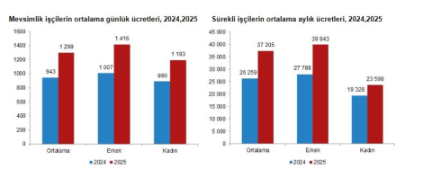 TÜİK: Mevsimlik tarım işçilerinin ortalama günlük ücretleri yüzde 37,8 arttı