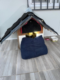 Balıkesir’de sıkıştığı yerde mahsur kalan yavru köpek kurtarıldı