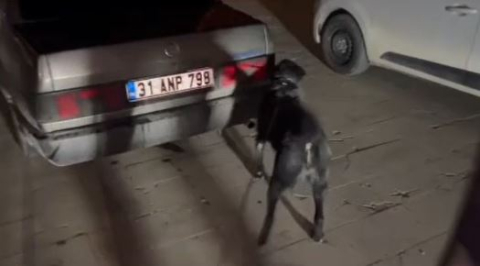 Hatay'da uyuşturucu operasyonu; 3 tutuklama